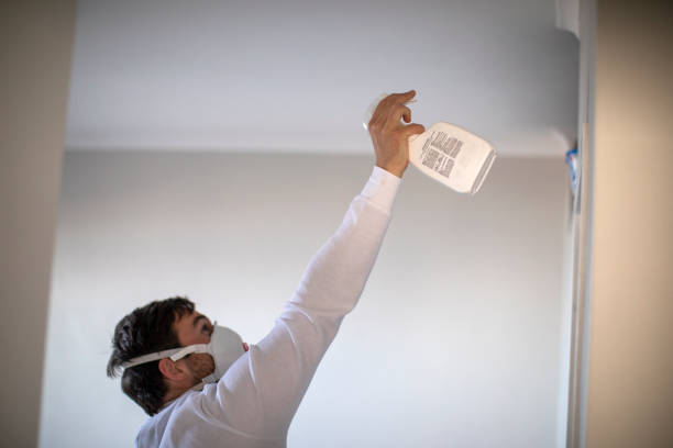 Best Professional Mold Removal  in Walford, IA